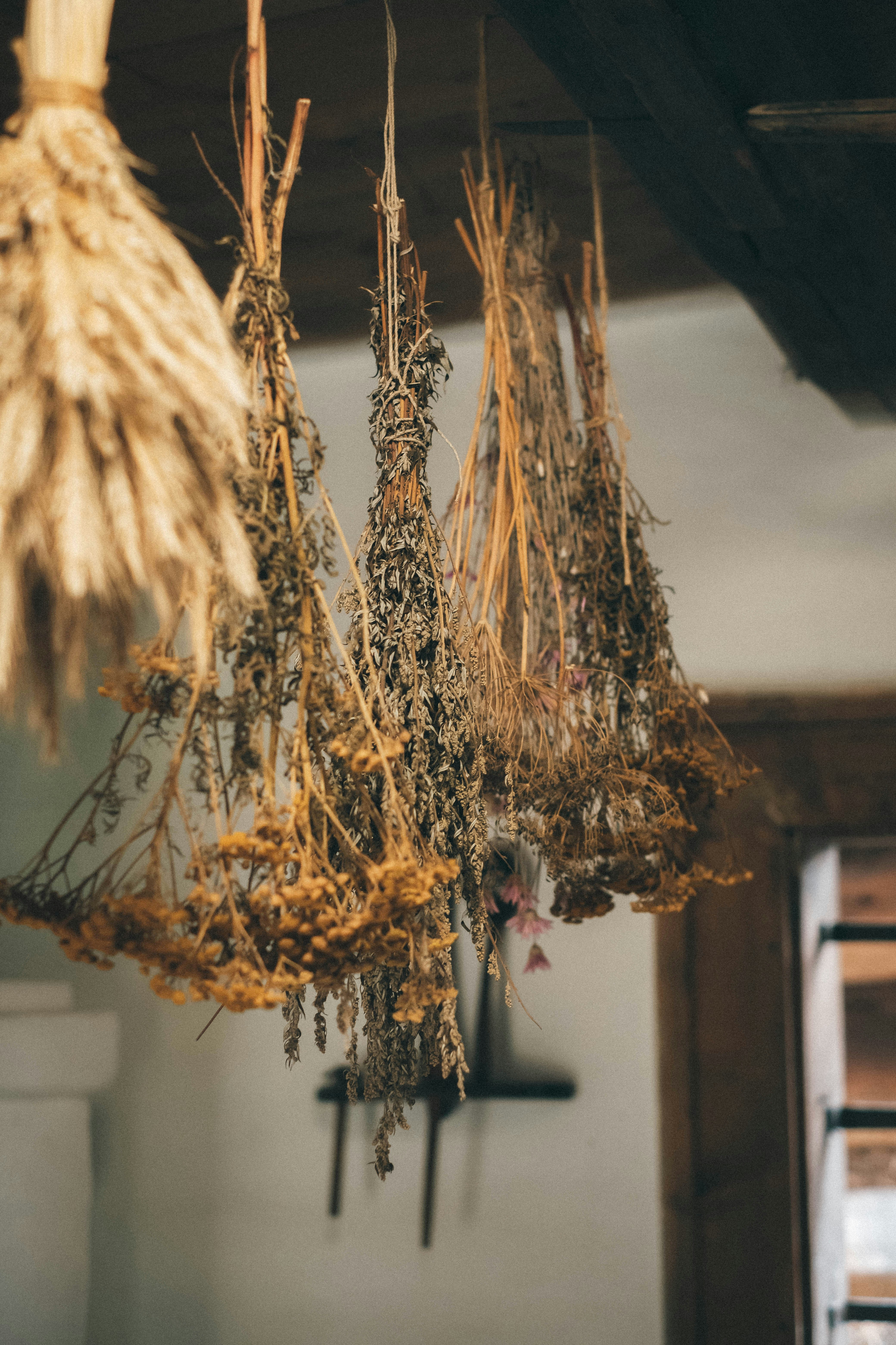Dried Herbs
